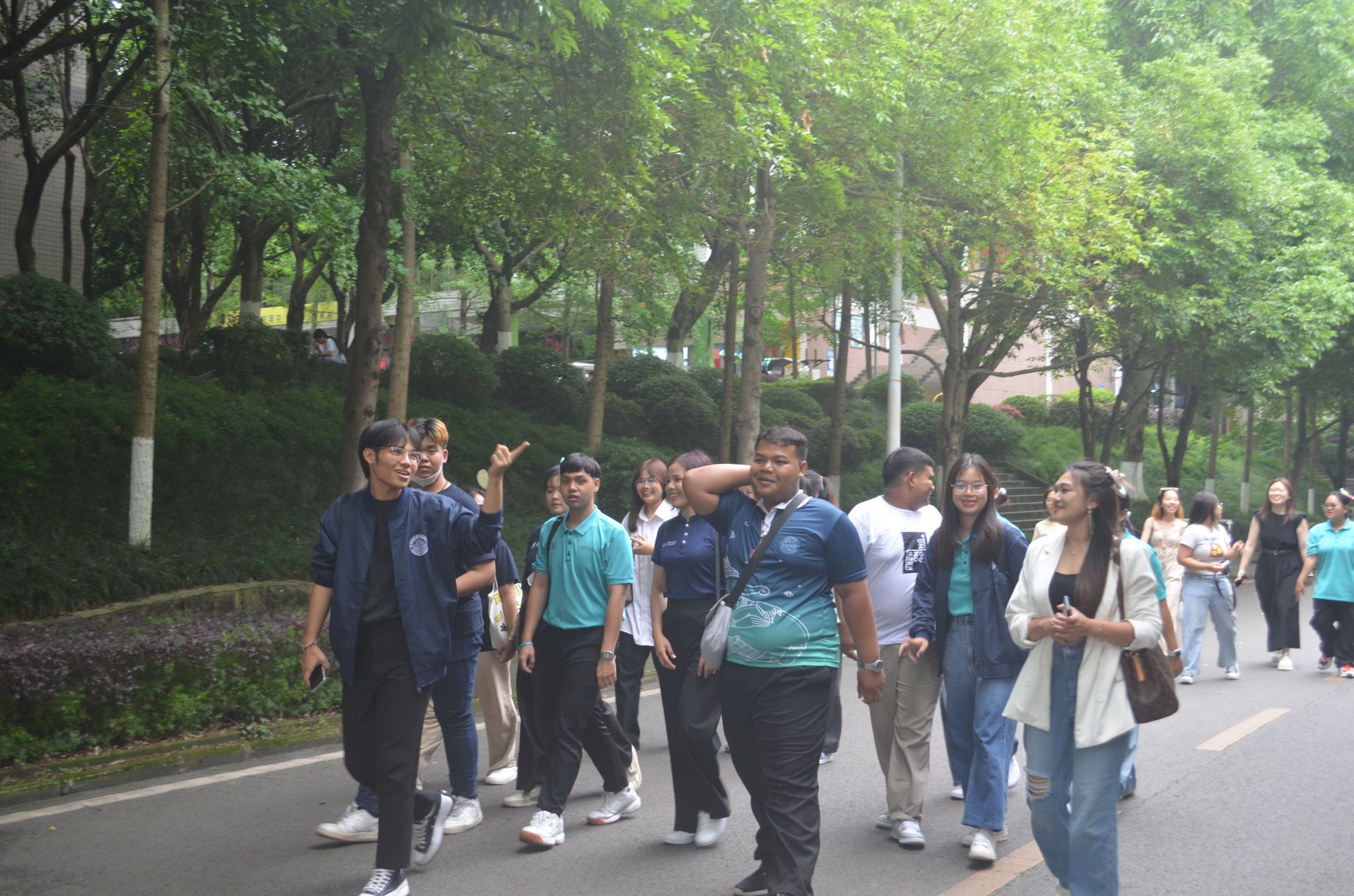 太阳成集团tyc122cc