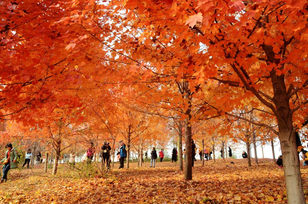 太阳成集团tyc122cc