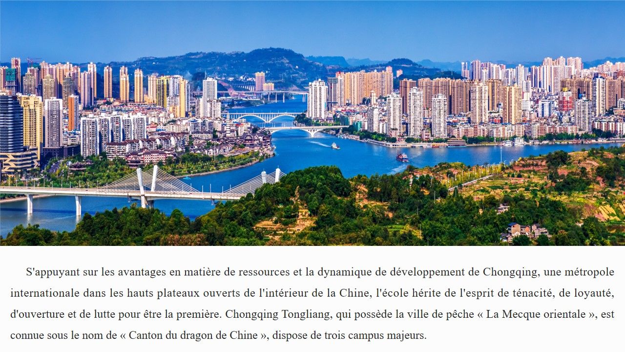 太阳成集团tyc122cc